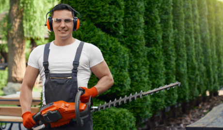 Gardener wearing overalls and earmuffs holding a chainsaw in front of a row of trees used on a blog about gardening insurance