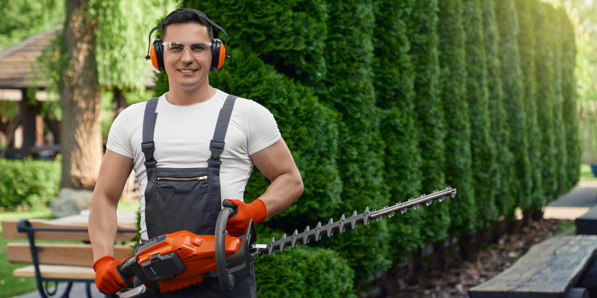 Gardener wearing overalls and earmuffs holding a chainsaw in front of a row of trees used on a blog about gardening insurance
